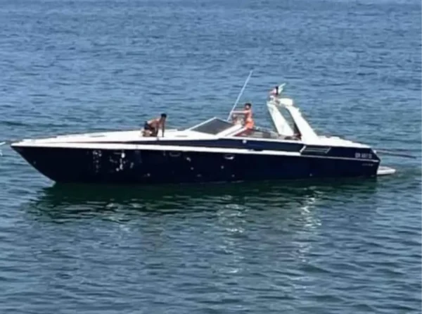 Shark 45